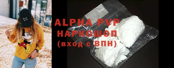 Альфа ПВП Няндома