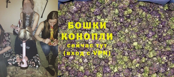 Альфа ПВП Няндома