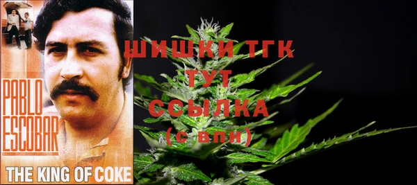Альфа ПВП Няндома