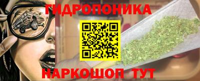 сатива Балаково