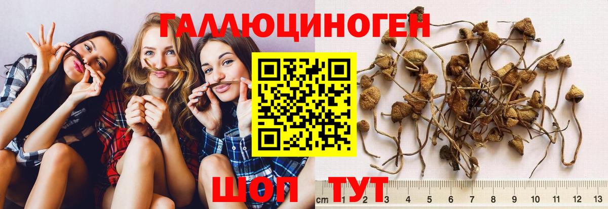 Мегион  Псилоцибиновые грибы Cubensis  Вход с VPN  Галлюциногенные грибы прущие грибы 
