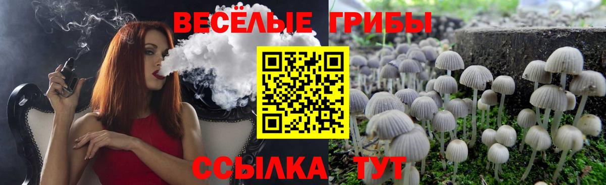 Псилоцибиновые грибы Magic Shrooms  Мегион 